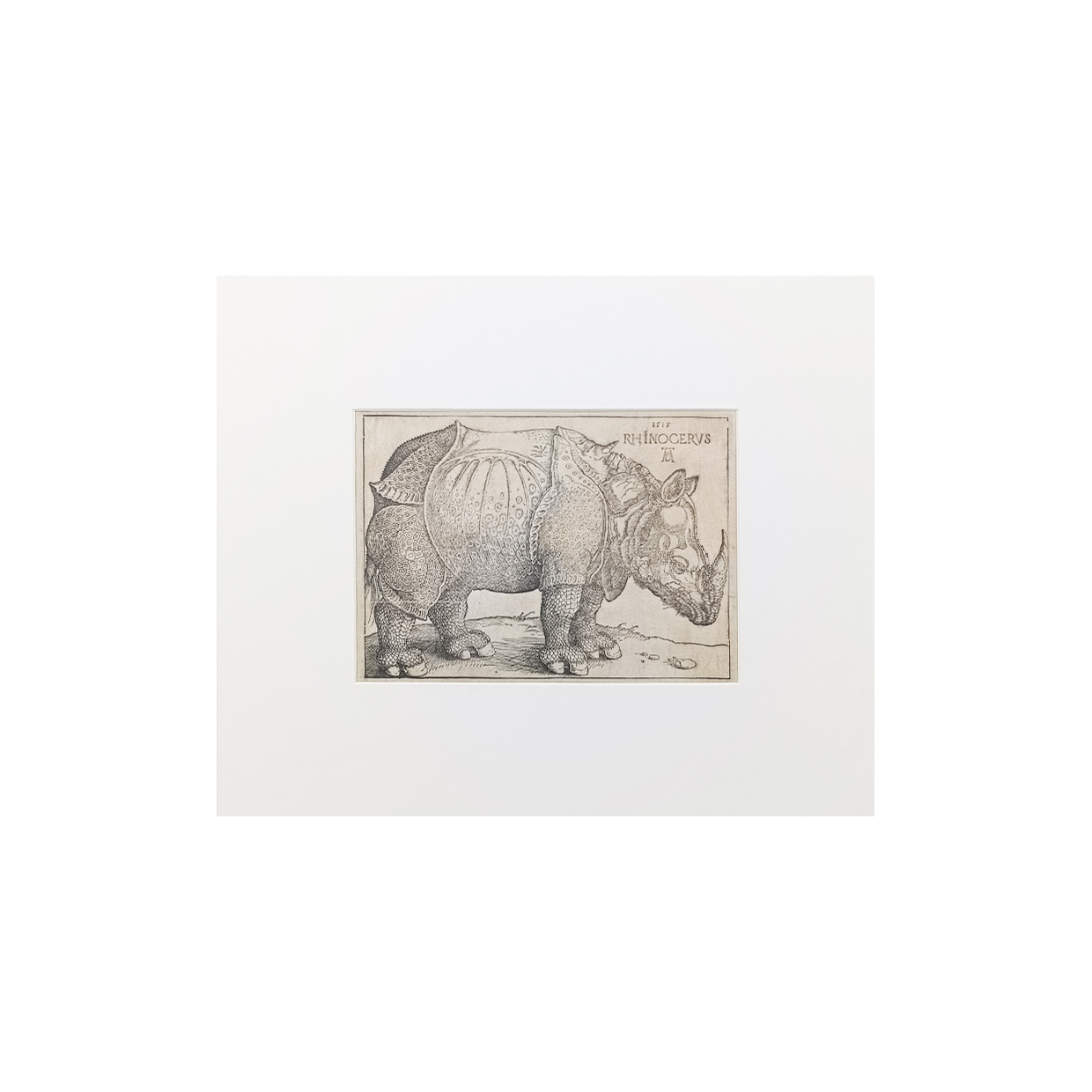 картинка Репродукция в паспарту "Носорог" 