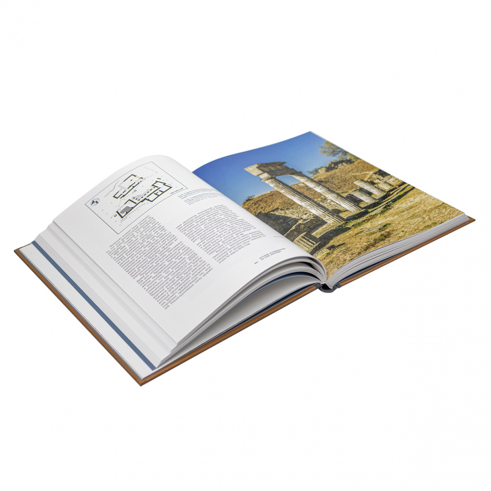 картинка Пантикапей. Из прошлого в будущее. 80 лет Боспорской (Пантикапейской) археологической экспедиции ГМИИ им. А.С. Пушкина 