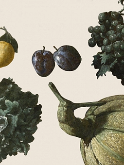Цветы, плоды, музыкальные инструменты в итальянской живописи эпохи барокко