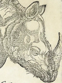 Прекрасные чудовища